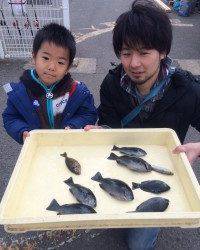 和歌山マリーナシティ海釣り公園でグレ　初めて釣りを楽しめました