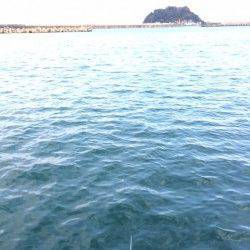 香住東港　のべ竿でサヨリ釣りを楽しみました