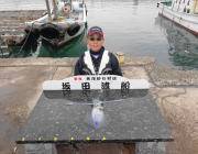 ヤエンでのアオリイカ釣果　黒島の筏で1.0kg、磯で0.7kg