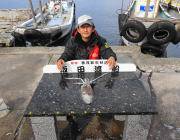 黒島の筏、黒島の磯でのヤエン釣果　アオリイカ0.7kgのナイスサイズ