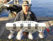黒島の磯　ヤエン釣りでアオリイカ〜1.1kg4ハイ