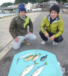 神谷一文字　かご釣りでハマチを4本