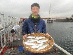 尼崎市立魚つり公園　エビ撒きでセイゴ７匹　ノマセでスズキ81cm