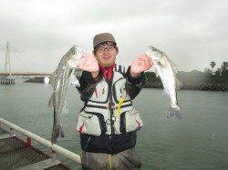 尼崎市立魚つり公園　エビ撒きのウキ釣り頻繁にアタリあり