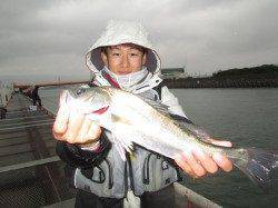尼崎市立魚つり公園　エビ撒きのウキ釣り頻繁にアタリあり