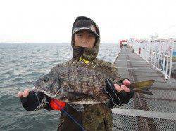尼崎市立魚つり公園　シラサのウキ釣りでチヌ・セイゴの釣果