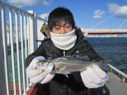 尼崎市立魚つり公園　年無しまであと一歩、チヌ49cm！