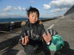 和歌山北港魚つり公園　お子様がサンバソウをキャッチ