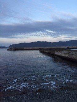 冬型が緩んだので日本海へ釣行　犬見～本郷周辺フカセ釣りでチヌ