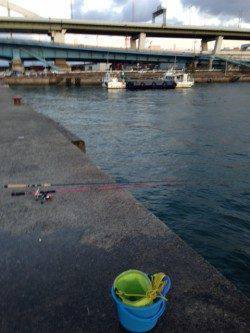 大阪南港にてサビキ釣り　15時頃サバの回遊、アジは夕方に入れ食いタイム