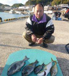 由良神谷　沖一文字内向きのカゴ釣りで40cmオーバーの良型グレ！
