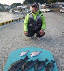 和歌山由良神谷の磯　カゴ釣り、フカセ釣りで40UPの良型グレ
