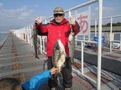 尼崎市立魚つり公園　エビ撒きでスズキクラスの釣果が増えてきています