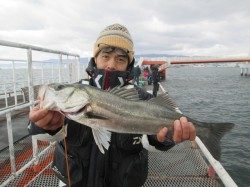 尼崎市立魚つり公園　エビ撒きのハネ、水温が安定し釣れる棚はほぼ４ヒロ前後