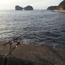 2015年初釣りは円月島前にてヤエン釣り　アオリイカ500gまでを4ハイ☆