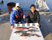 黒島の筏でのチヌ釣り　他カンダイも釣れました！
