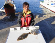 黒島の筏　のませ釣りでヒラメの釣果