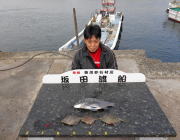 鷹島のカンドリにてグレの釣果