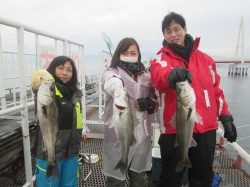 尼崎市魚つり公園　 ウキ釣りでハネ・セイゴの釣果