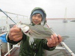 尼崎市立魚つり公園でセイゴ〜難しい日の値打ちある１匹！