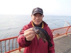 神戸市立平磯海づり公園　ウキ釣りでメバル