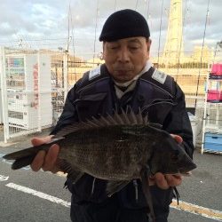 和歌山マリーナシティ海釣り公園　フカセでチヌの釣果