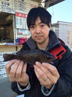和歌山マリーナシティ海釣り公園 メバルの釣果