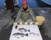 黒島の筏  良型チヌの釣果