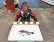 黒島の筏  良型チヌの釣果