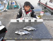 黒島の筏　オキアミ・ボケで良型チヌを6枚