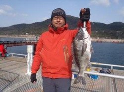 神戸市立須磨海づり公園 シラサエビでチヌ45cm