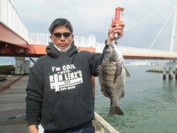 尼崎市立魚つり公園 ウキ釣り、ズボ釣りでセイゴ・ハネ・チヌ