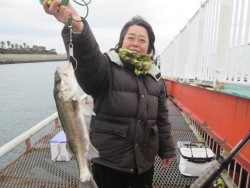 尼崎市魚つり公園　ウキ釣りでハネ＆セイゴ