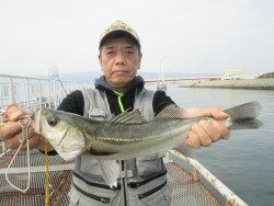 尼崎市立魚つり公園のハネ釣果　浅棚を狙ったのが正解！