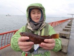 神戸市立平磯海づり公園 投げ釣でアイナメ