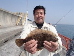 神戸市立平磯海づり公園 投げ釣りでカレイ33ｃｍ