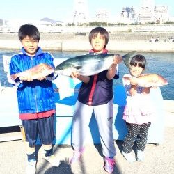 和歌山マリーナシティ海洋釣り堀 メジロ釣ったどー！