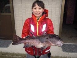 カルモ島でチヌ、カンダイ釣れました