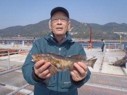 神戸市立須磨海づり公園 カゴ釣りでポン級アイナメ