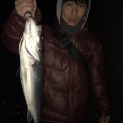 今年初シーバス！やっと釣れました！