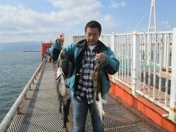 尼崎市立魚つり公園 セイゴ・チヌ・キビレ・アイナメと絶好調♪