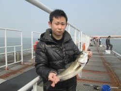 尼崎市魚つり公園　ハネ＆セイゴの釣果