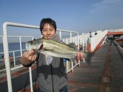 尼崎市立魚つり公園 ハネ狙いなら餌はシラサエビ