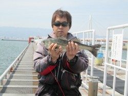 尼崎市立魚つり公園 ４７ｃｍの良型チヌにハネ４５ｃｍの釣果も