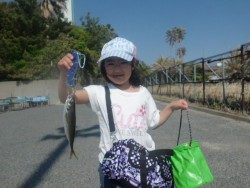 大阪南港海釣り公園 アジは2匹のみでした