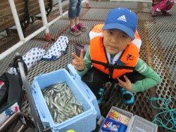 尼崎市立魚つり公園でイワシ、ＧＷ中はサビキ釣りに期待