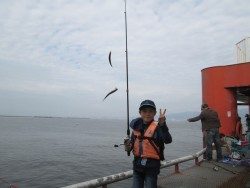 尼崎市立魚つり公園でイワシ、ＧＷ中はサビキ釣りに期待