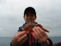 和歌山北港魚つり公園 メジロ61ｃｍの釣果