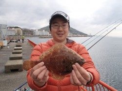 神戸市立平磯海づり公園 投げ釣りでメイタガレイ