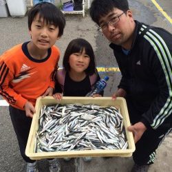和歌山マリーナシティ釣り公園　サビキでイワシの大漁釣果